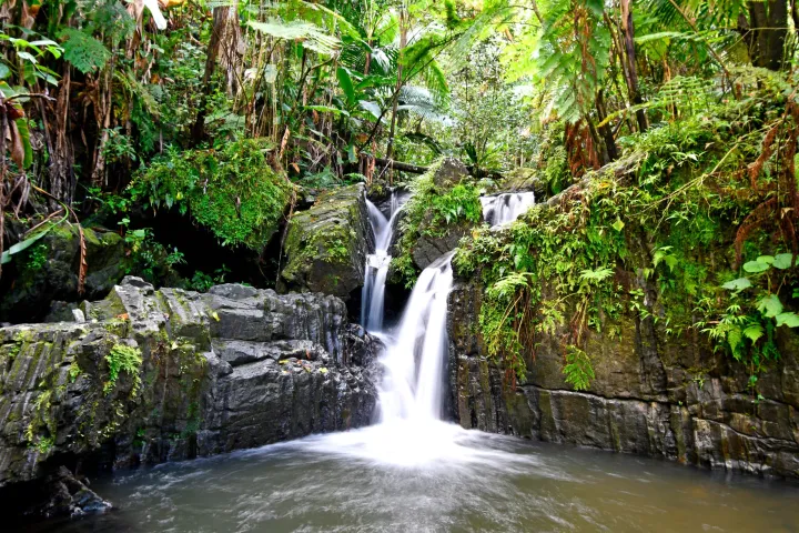 a waterfall with trees on the side of a river