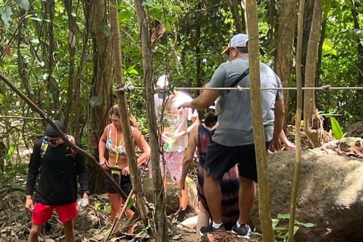 a man and a woman standing next to a tree
