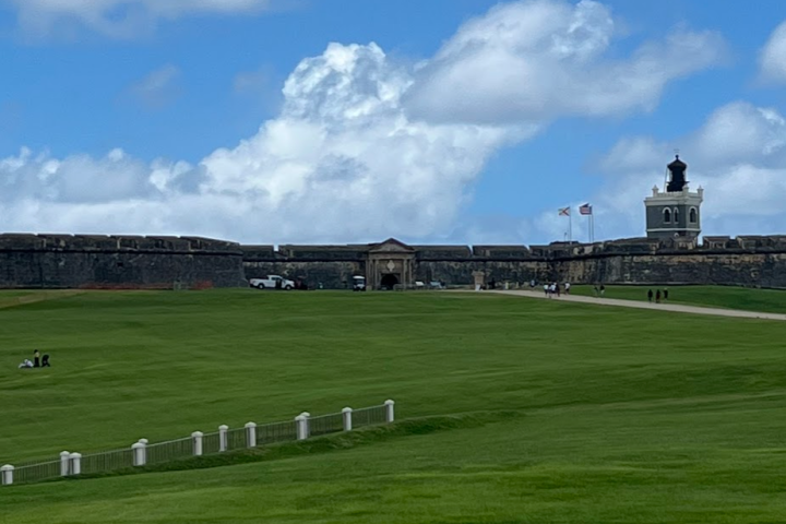 a castle on top of a lush green field