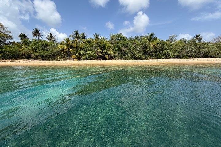 Clear water, sandy beach, and palm trees under a partly cloudy sky.