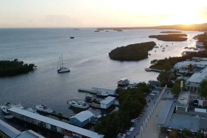 a large body of water with buildings in the background