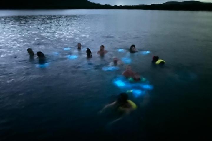 People swimming at night with bioluminescent water glowing blue around them.