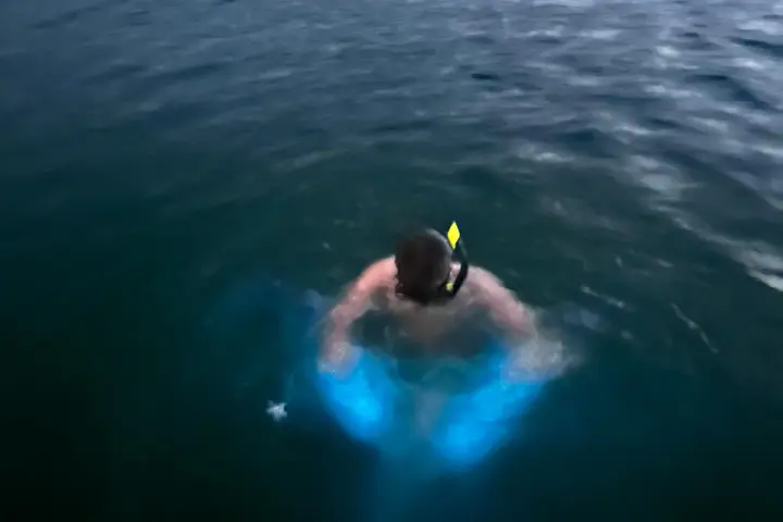 Person snorkeling in dark water with glowing blue bioluminescence around them.