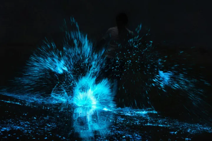 Bioluminescent Bay Boat Ride