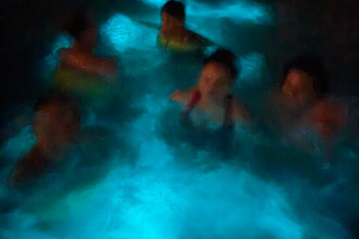 People swimming in glowing blue bioluminescent water at night.