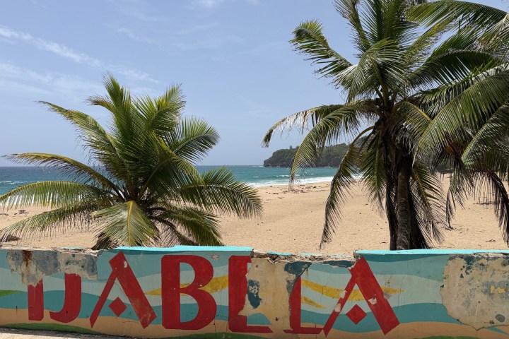 Beach view with palm trees, ocean, and graffiti on a wall reading 'ISABELA'.