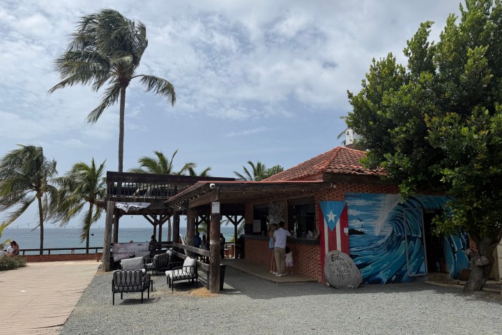 Small beachside building with a mural and palm trees under a cloudy sky.