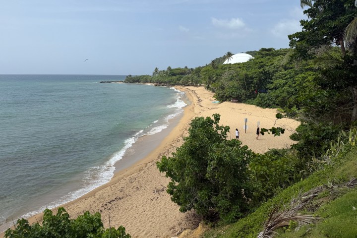 Tropical beach with golden sand, green trees, and people walking along the shore.